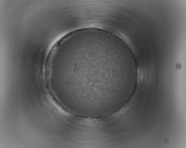 X0000112830780200908211216