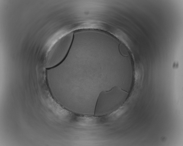 X0000112830781200908211215