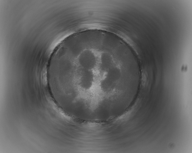 X0000112830782200908211215