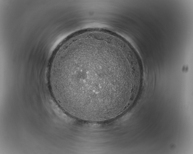 X0000112830783200908211215