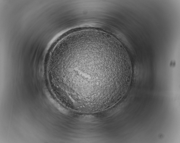 X0000112830784200908211215