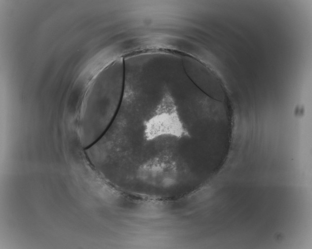 X0000112830785200908211215