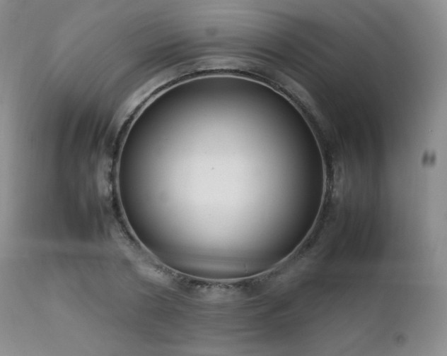 X0000112830786200908211215