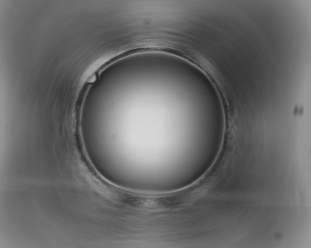 X0000112830787200908211215