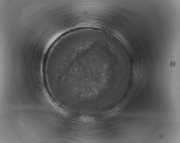 X0000112830788200908211215