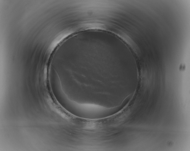 X0000112830790200908211215