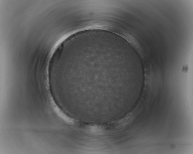 X0000112830792200908211215