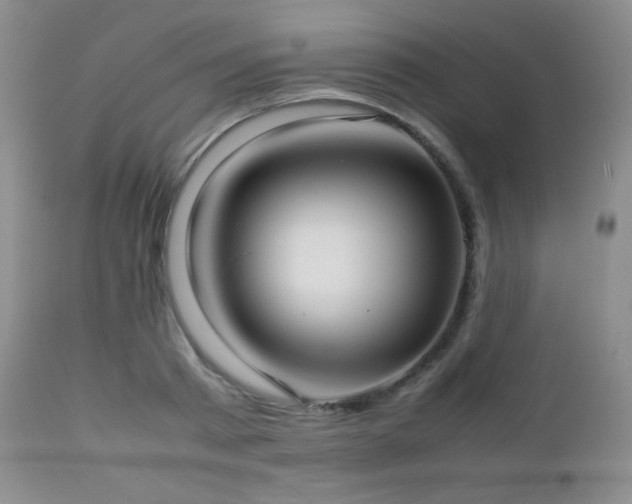 X0000112830793200908211215
