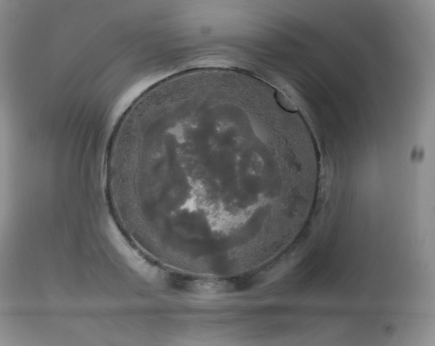 X0000112830795200908211215