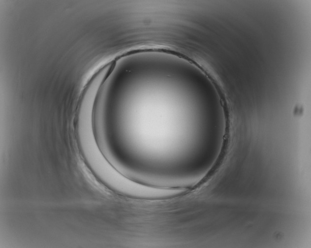 X0000112830797200908211215