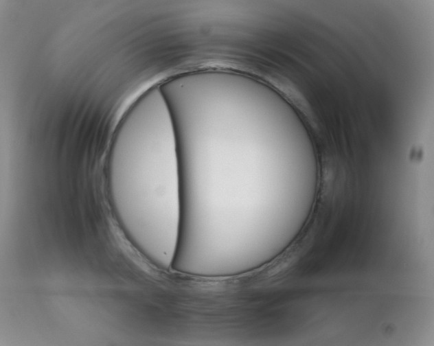 X0000112830798200908211215