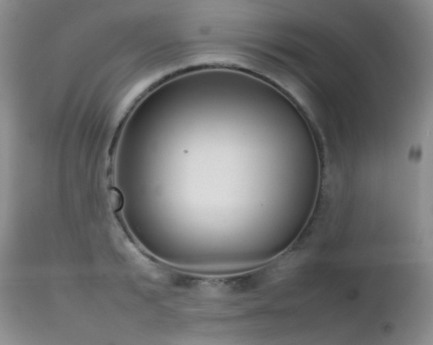 X0000112830799200908211215