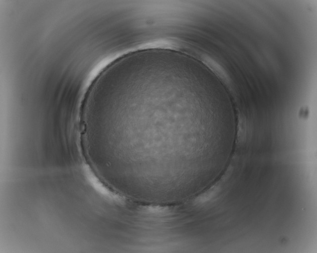 X0000112830800200908211215