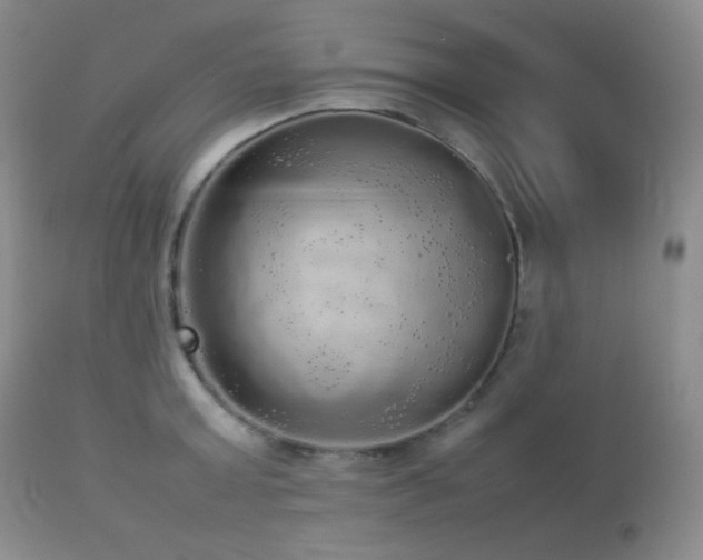 X0000112830803200908211215