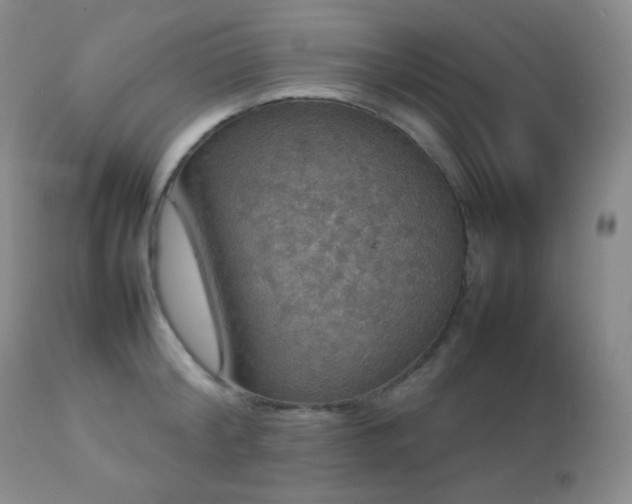 X0000112830804200908211215