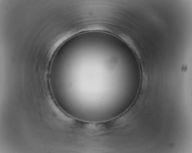 X0000112830805200908211215