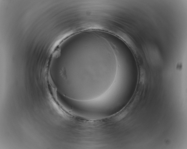 X0000112830806200908211215