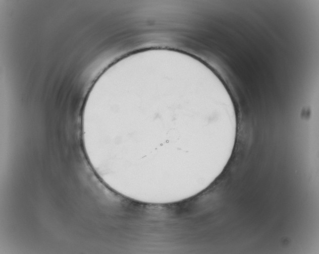 X0000112830807200908211215