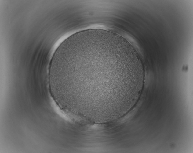 X0000112830808200908211215