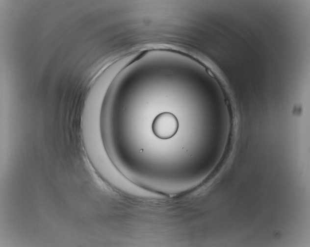 X0000112830809200908211215