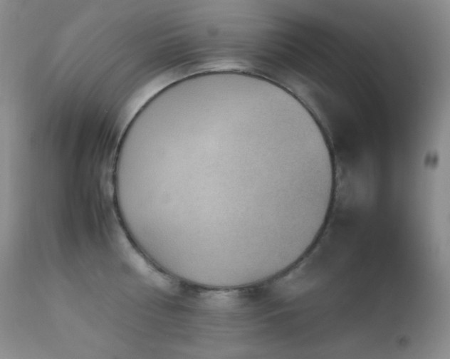 X0000112830810200908211215