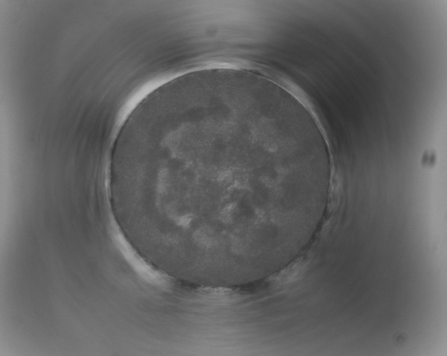 X0000112830811200908211215