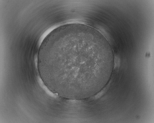 X0000112830812200908211215