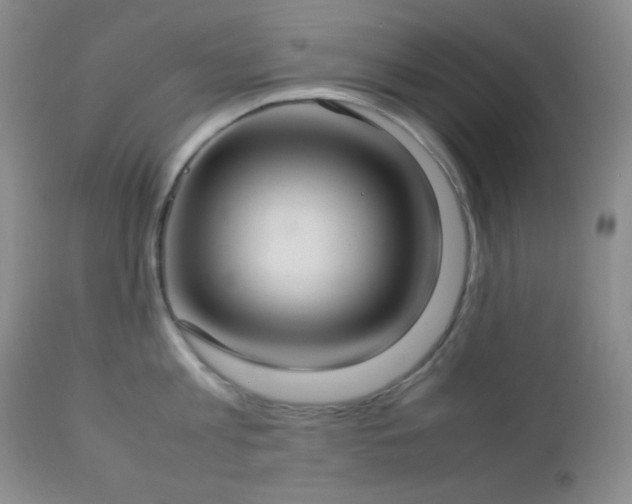 X0000112830813200908211215