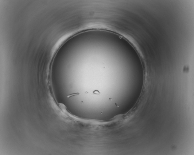 X0000112830815200908211215