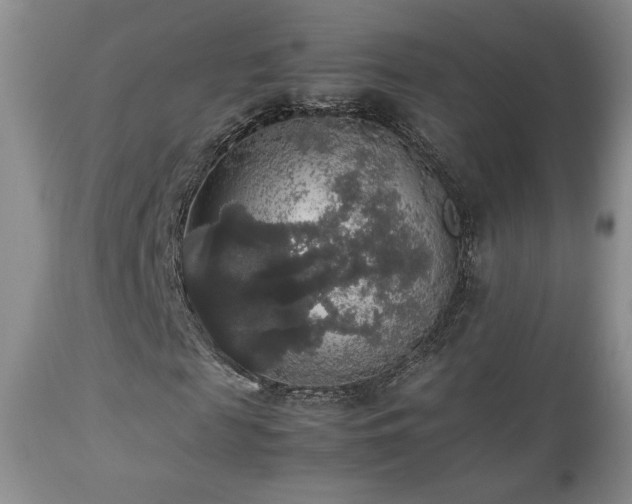 X0000112830817200908211214