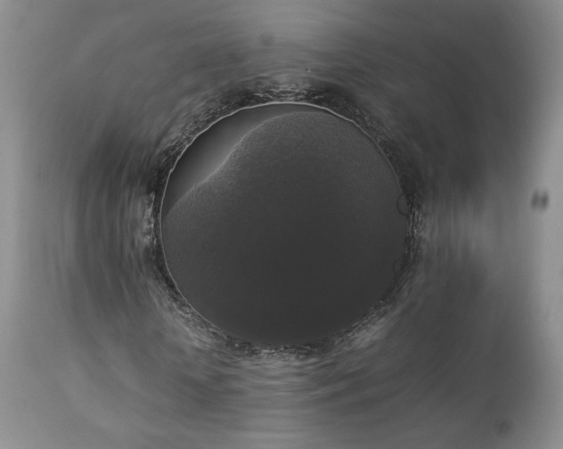 X0000112830818200908211214