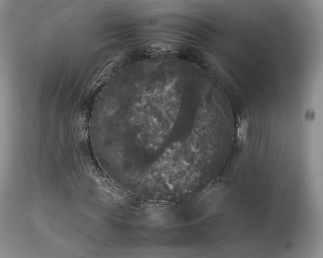 X0000112830819200908211214