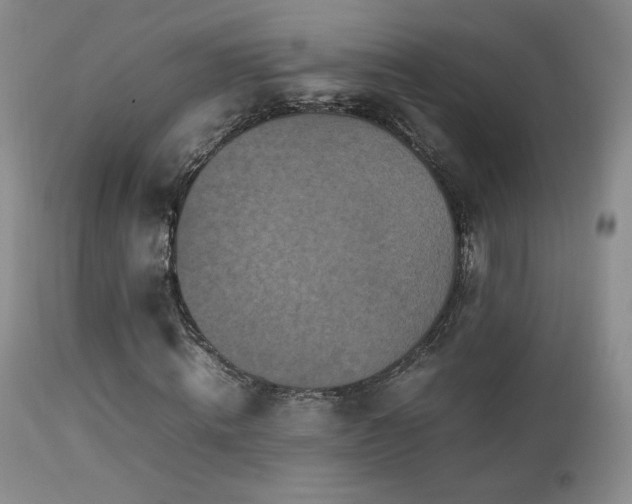 X0000112830820200908211214