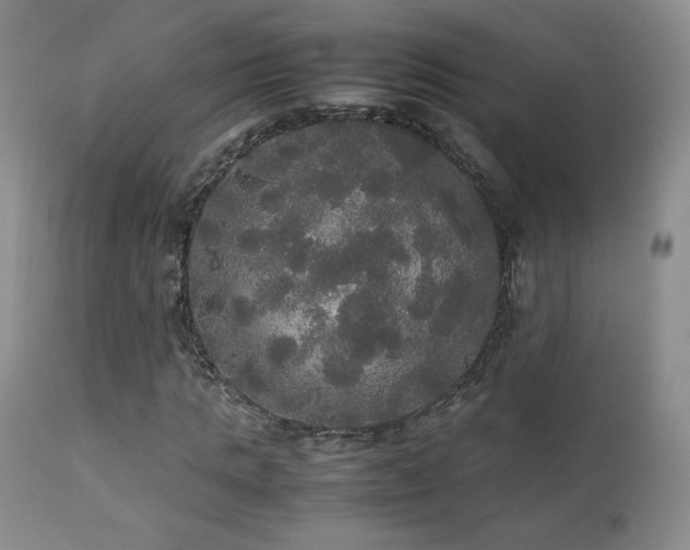 X0000112830821200908211214