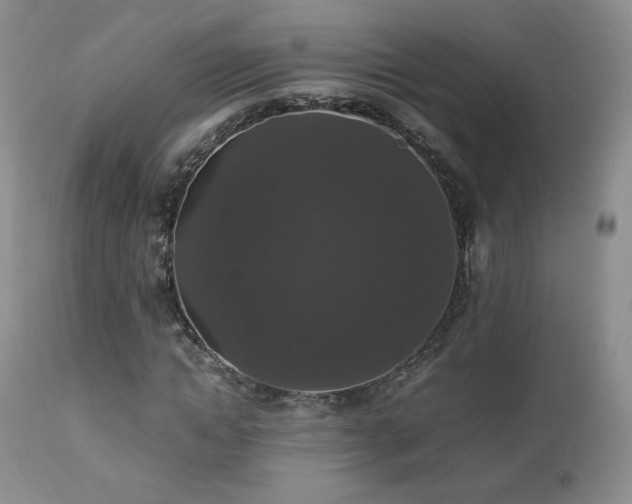 X0000112830822200908211214