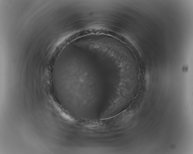 X0000112830823200908211214
