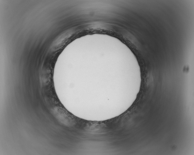 X0000112830824200908211214