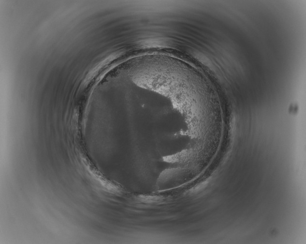 X0000112830825200908211214