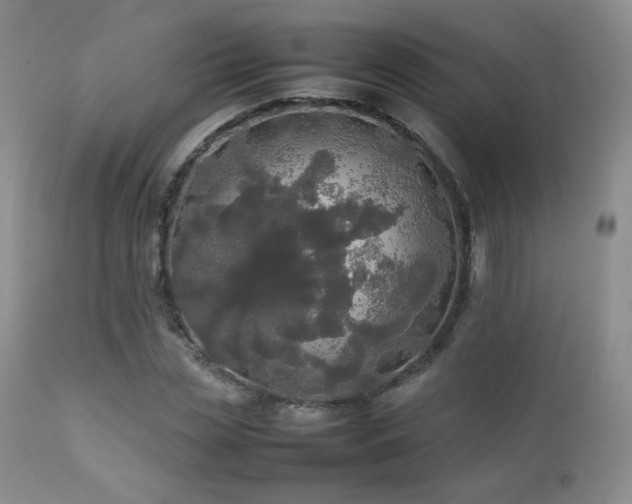 X0000112830829200908211214