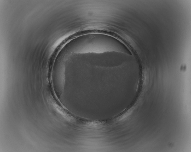 X0000112830830200908211214
