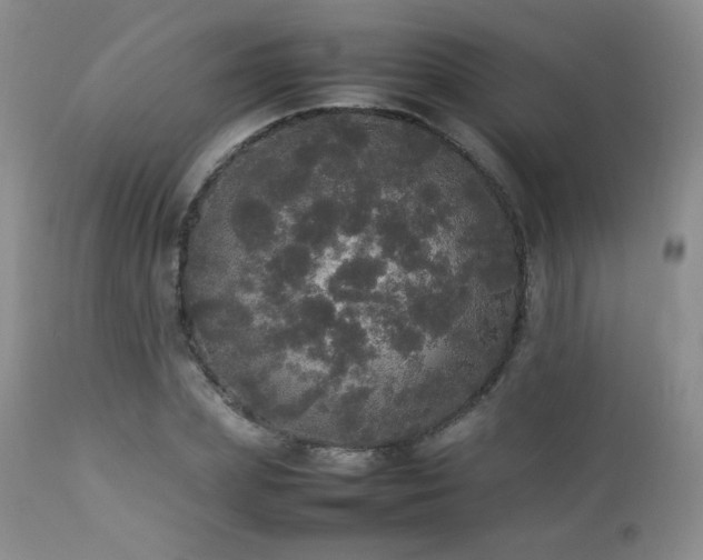X0000112830831200908211214