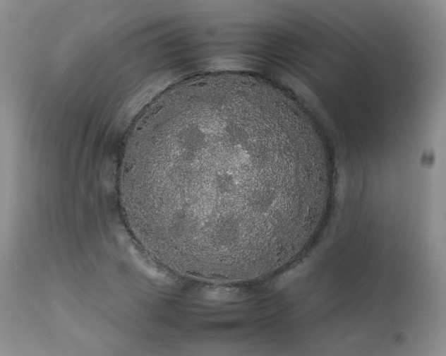 X0000112830833200908211214
