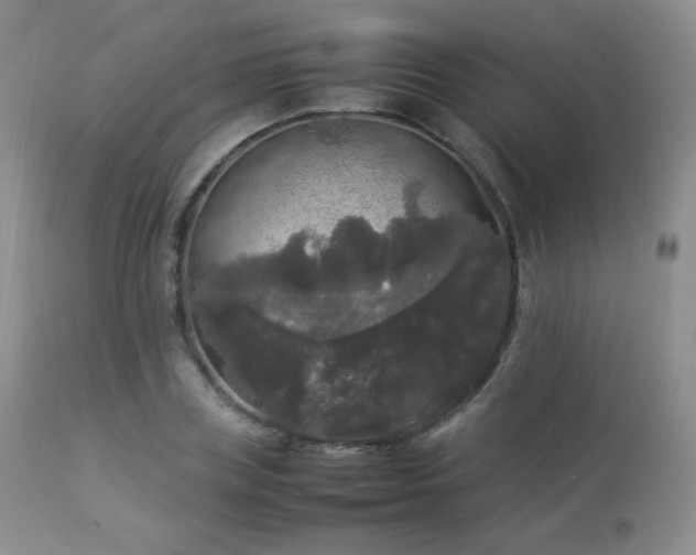 X0000112830835200908211214