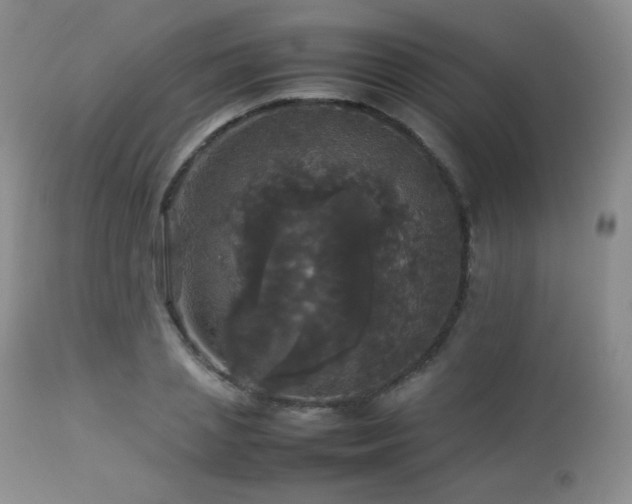 X0000112830837200908211214