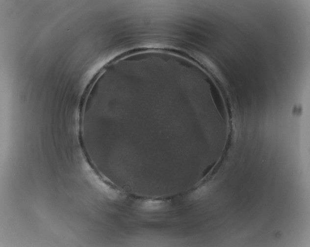 X0000112830839200908211214