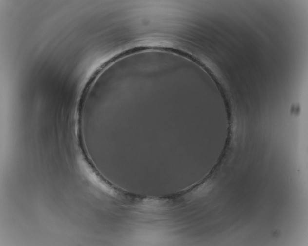 X0000112830840200908211214