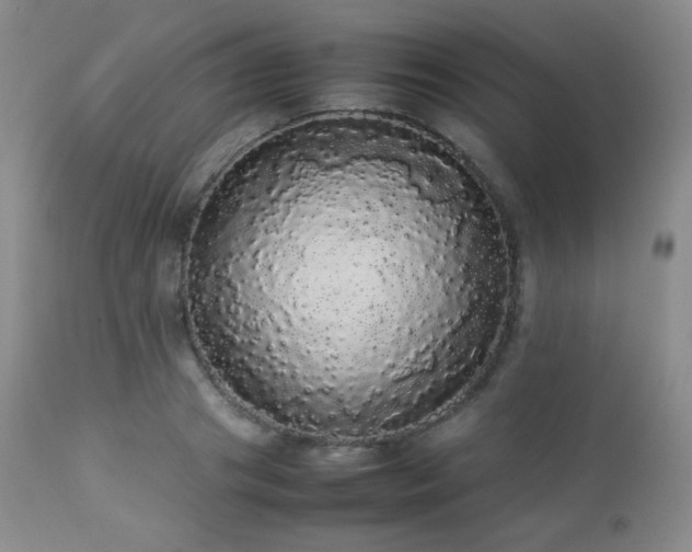 X0000112830841200908211215