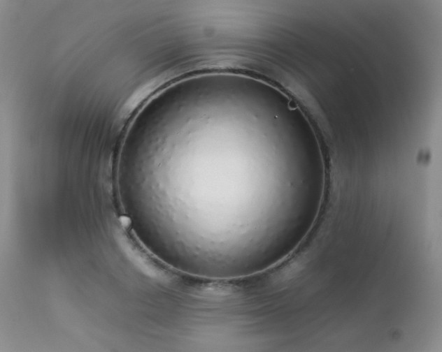 X0000112830842200908211215