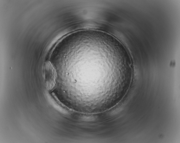 X0000112830843200908211215
