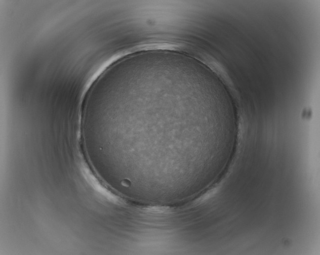 X0000112830844200908211215